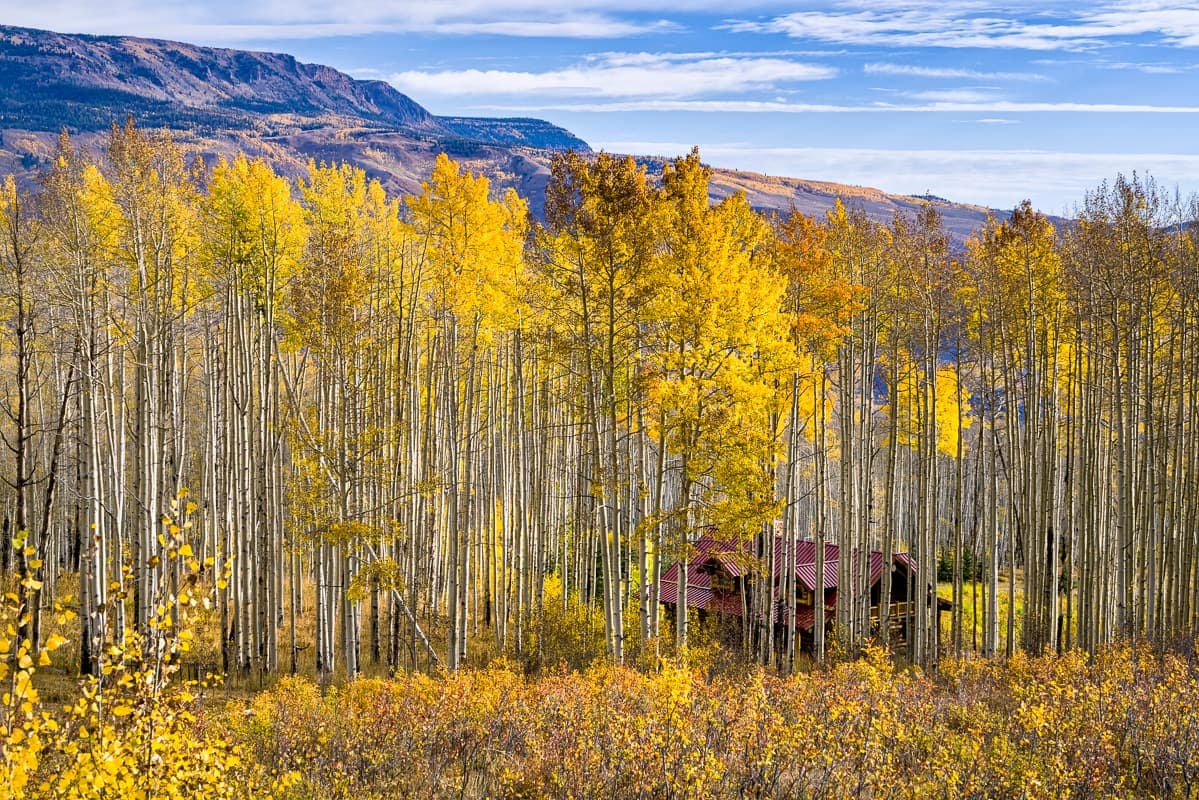 Aspen light and mountain air