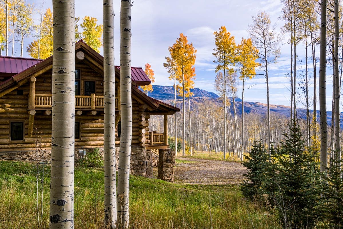 Sweetwater Aspen Grove glowing among aspen trees